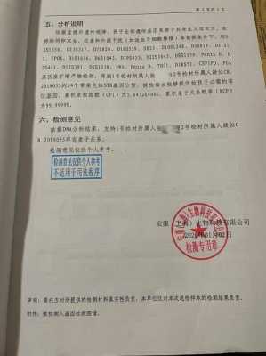 怀孕多久可以做DNA鉴定呢,对胎儿会有危害吗,孕期几个月可以做亲子鉴定检查 第2张 怀孕多久可以做DNA鉴定呢,对胎儿会有危害吗,孕期几个月可以做亲子鉴定检查 第2张