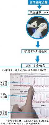 怀孕多久可以做DNA鉴定呢,对胎儿会有危害吗,孕期几个月可以做亲子鉴定检查 第3张 怀孕多久可以做DNA鉴定呢,对胎儿会有危害吗,孕期几个月可以做亲子鉴定检查 第3张