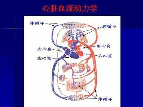 胎儿三房心(胎儿三房心需要引产吗) 第3张 胎儿三房心(胎儿三房心需要引产吗) 第3张