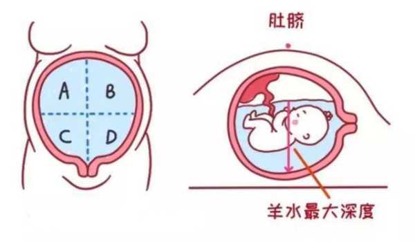 胎儿尿液排到哪里(胎儿尿液排到哪里去了) 第1张 胎儿尿液排到哪里(胎儿尿液排到哪里去了) 第1张
