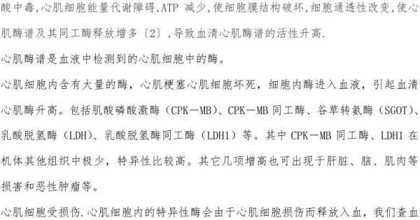 心肌酶是什么?有什么作用,孕期心肌酶高有什么危害 第2张 心肌酶是什么?有什么作用,孕期心肌酶高有什么危害 第2张