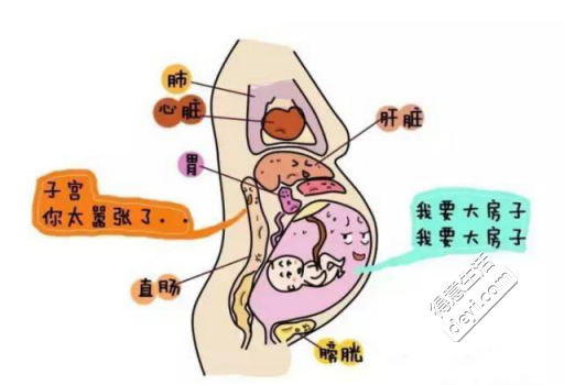 孕期排便少(孕期排便少怎么回事) 第2张 孕期排便少(孕期排便少怎么回事) 第2张