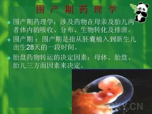 麻醉对胎儿的影响(麻醉对胎儿的影响能监测出来吗) 第1张 麻醉对胎儿的影响(麻醉对胎儿的影响能监测出来吗) 第1张