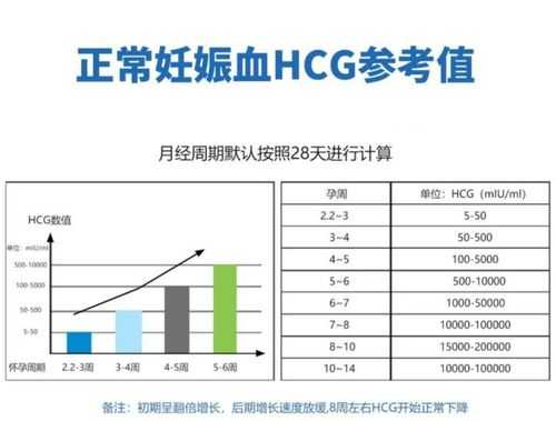 孕期hcg值的变化曲线图有些什么规律呢?请各位分享一下经验,孕期血hcg正常值参考范围 第1张 孕期hcg值的变化曲线图有些什么规律呢?请各位分享一下经验,孕期血hcg正常值参考范围 第1张