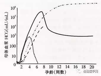 孕期hcg值的变化曲线图有些什么规律呢?请各位分享一下经验,孕期血hcg正常值参考范围 第2张 孕期hcg值的变化曲线图有些什么规律呢?请各位分享一下经验,孕期血hcg正常值参考范围 第2张