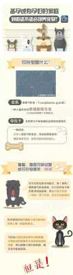 养狗会导致胎儿畸形吗（怀孕几个月后就不怕弓形虫了）  第1张