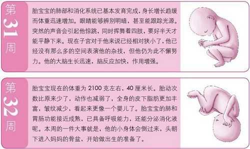 八个月宝宝一顿奶量是多少呢?一次150毫升够吗,怀孕八个月胎儿有多重才正常? 第2张 八个月宝宝一顿奶量是多少呢?一次150毫升够吗,怀孕八个月胎儿有多重才正常? 第2张