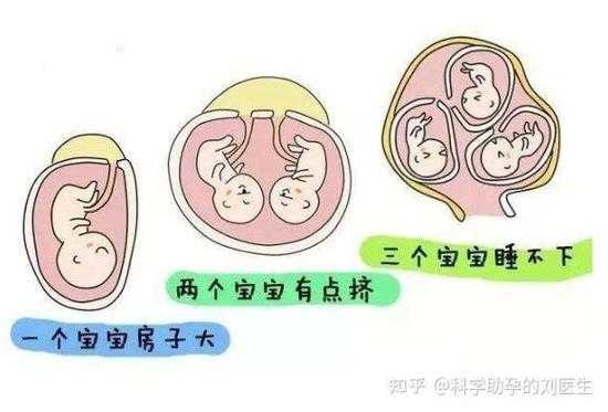 产期和孕期(产期和孕期的区别) 第2张 产期和孕期(产期和孕期的区别) 第2张