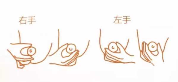孕期通奶(孕妇通奶最快的方法) 第3张 孕期通奶(孕妇通奶最快的方法) 第3张