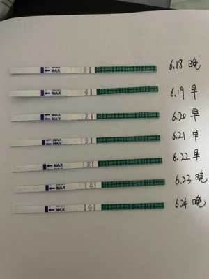 母兔连配不怀孕怎么回事,易孕期没怀孕正常吗 第2张 母兔连配不怀孕怎么回事,易孕期没怀孕正常吗 第2张