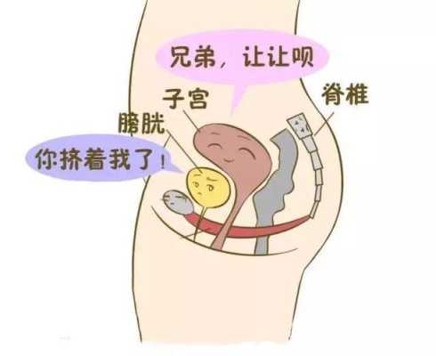胎儿多少周开始排尿(胎儿多少周开始排尿) 第1张 胎儿多少周开始排尿(胎儿多少周开始排尿) 第1张