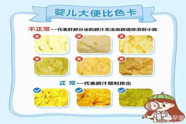 8个月宝宝大便正常颜色是什么样的,8个月胎儿图片的样子  第2张