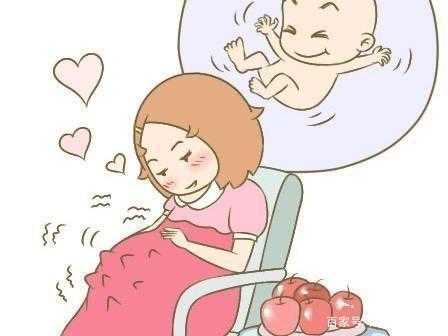 胎儿能听懂妈妈说话吗(1岁宝宝能听懂妈妈的话吗) 第3张 胎儿能听懂妈妈说话吗(1岁宝宝能听懂妈妈的话吗) 第3张