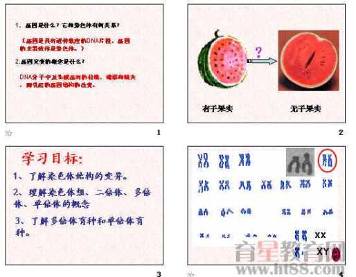 染色体对胎儿的影响(染色体对胎儿的影响发生时间) 第2张 染色体对胎儿的影响(染色体对胎儿的影响发生时间) 第2张