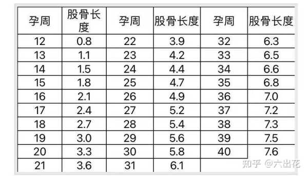 孕三十周胎儿发育标准(孕三十周胎儿发育标准是多少) 第1张 孕三十周胎儿发育标准(孕三十周胎儿发育标准是多少) 第1张