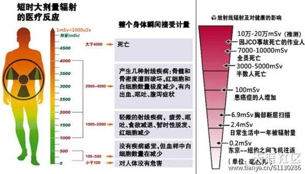 电离辐射对胎儿的影响（电离辐射对胎儿的影响主要表现在哪几方面）  第2张