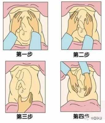 孕期检查的四步触诊法(26周宝宝在肚子里什么样的) 第2张 孕期检查的四步触诊法(26周宝宝在肚子里什么样的) 第2张