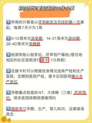 孕期登记（怀孕怎么在网上备案登记）  第3张