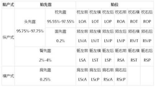 胎儿腹围英文缩写(胎儿腹围英文缩写是什么) 第3张 胎儿腹围英文缩写(胎儿腹围英文缩写是什么) 第3张