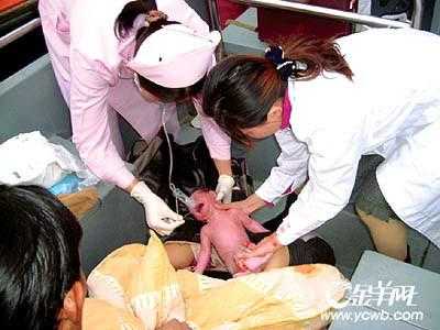 围孕期专科(生小孩时候男方能进去陪同吗) 第3张 围孕期专科(生小孩时候男方能进去陪同吗) 第3张