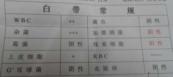 孕期白带常规 第1张 孕期白带常规 第1张