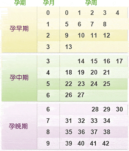 受孕期推算(孕期如何计算时间) 第2张 受孕期推算(孕期如何计算时间) 第2张