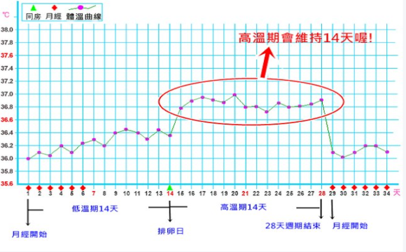 孕期正常体温是多少,受孕期体温会升高吗  第1张