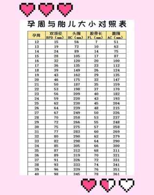 怎么知道胎儿偏大偏小(怎么知道胎儿偏大偏小) 第1张 怎么知道胎儿偏大偏小(怎么知道胎儿偏大偏小) 第1张