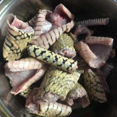 就是家里打的蛇,孕妇可以吃蛇吗,孕期吃蛇肉对胎儿有什么影响 第1张 就是家里打的蛇,孕妇可以吃蛇吗,孕期吃蛇肉对胎儿有什么影响 第1张