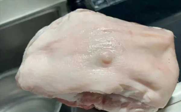 买了块猪肉,上面有个乳头能吃吗,孕期吃乳头疼怎么办 第3张 买了块猪肉,上面有个乳头能吃吗,孕期吃乳头疼怎么办 第3张