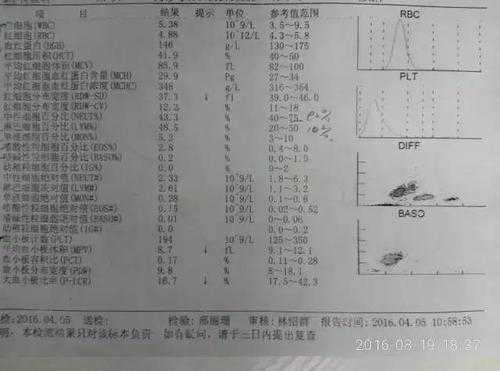 孕期血检单（孕期血检单核细胞计数偏高）  第2张