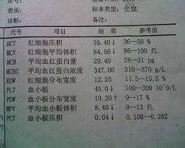 孕期血检单（孕期血检单核细胞计数偏高）  第3张