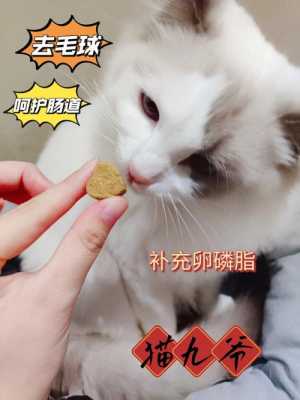 怀孕的猫吃什么,怀孕期吃啥吐啥要怎样解决 第2张 怀孕的猫吃什么,怀孕期吃啥吐啥要怎样解决 第2张