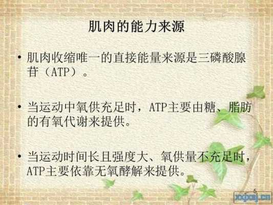 胎儿耐受力(胎儿耐受力差什么意思) 第1张 胎儿耐受力(胎儿耐受力差什么意思) 第1张