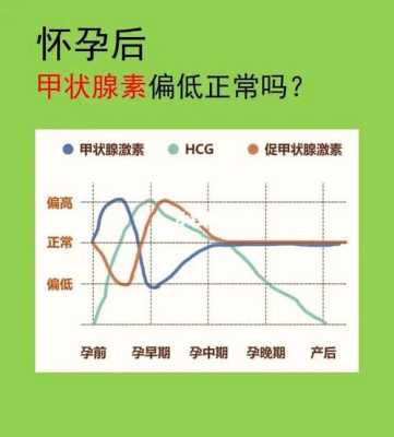 孕期甲状腺素偏低(孕期甲状腺素偏低是什么原因造成的) 第1张 孕期甲状腺素偏低(孕期甲状腺素偏低是什么原因造成的) 第1张