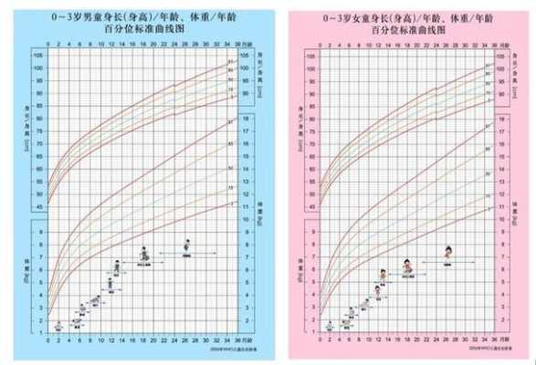 怀孕3个月胎儿头臀长是多少,胎儿头围范围值表 第2张 怀孕3个月胎儿头臀长是多少,胎儿头围范围值表 第2张
