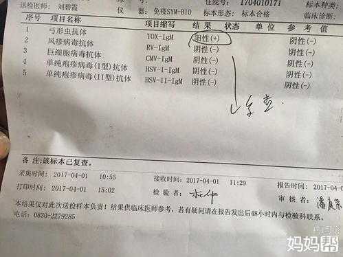 孕期弓形虫检查(产检弓形虫检查是哪个?有必要检查吗) 第3张 孕期弓形虫检查(产检弓形虫检查是哪个?有必要检查吗) 第3张