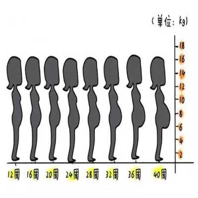 孕期肚子偏大的原因(孕期肚子偏大的原因造成的) 第1张 孕期肚子偏大的原因(孕期肚子偏大的原因造成的) 第1张