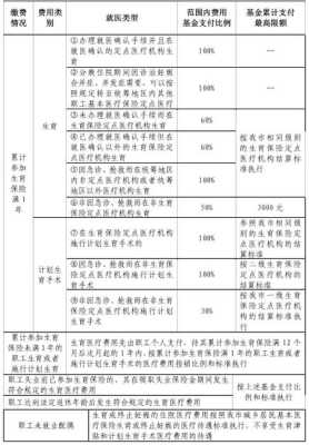 孕期检查费用报销(孕期检查费用报销流程) 第2张 孕期检查费用报销(孕期检查费用报销流程) 第2张