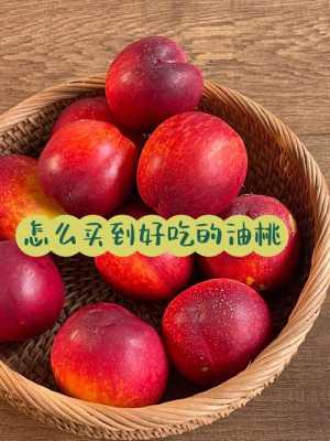 孕期吃油桃对胎儿好吗(几个月宝宝可以吃油桃) 第2张 孕期吃油桃对胎儿好吗(几个月宝宝可以吃油桃) 第2张