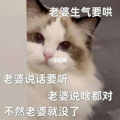 孕期惹老婆生气的男人(孕期惹老婆生气的男人可以原谅吗) 第3张 孕期惹老婆生气的男人(孕期惹老婆生气的男人可以原谅吗) 第3张