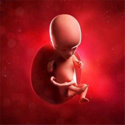 孕期15周是怀孕几个月(15周孕妇标准的肚子图) 第2张 孕期15周是怀孕几个月(15周孕妇标准的肚子图) 第2张