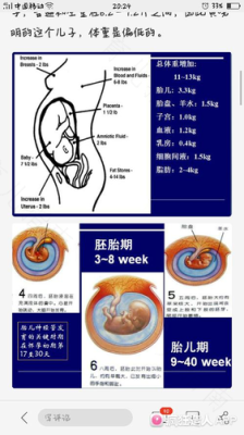 胎儿附属物包括什么,胎儿附属物是指胎儿以外的组织包括哪些 第1张 胎儿附属物包括什么,胎儿附属物是指胎儿以外的组织包括哪些 第1张