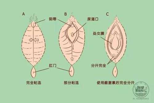 孕期阴道口痒怎么办(孕妇下面痒会影响胎儿吗) 第1张 孕期阴道口痒怎么办(孕妇下面痒会影响胎儿吗) 第1张