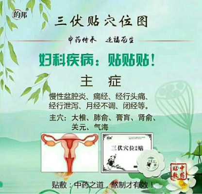 备孕期间能贴三伏贴吗(备孕期间能贴三伏贴吗女性) 第2张 备孕期间能贴三伏贴吗(备孕期间能贴三伏贴吗女性) 第2张