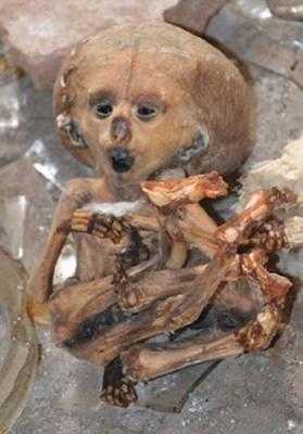 古尸产下活婴是怎么回事,那孩子真的活了吗,胎儿遗体,婴儿遗体如何处置 第3张 古尸产下活婴是怎么回事,那孩子真的活了吗,胎儿遗体,婴儿遗体如何处置 第3张