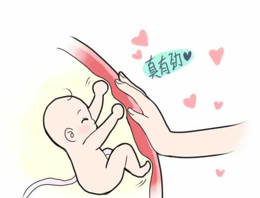 胎儿在哪侧（胎儿在哪侧就靠哪侧睡是吗）  第2张