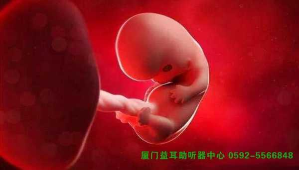 怀孕胎儿聋(怀孕胎儿聋哑能发现吗?) 第1张 怀孕胎儿聋(怀孕胎儿聋哑能发现吗?) 第1张