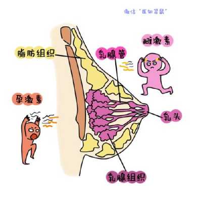 孕期咪咪图(孕妇咪咪) 第1张 孕期咪咪图(孕妇咪咪) 第1张
