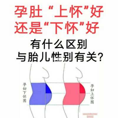肚子上怀和下怀的区别,胎儿上怀和下怀的区别 第2张 肚子上怀和下怀的区别,胎儿上怀和下怀的区别 第2张